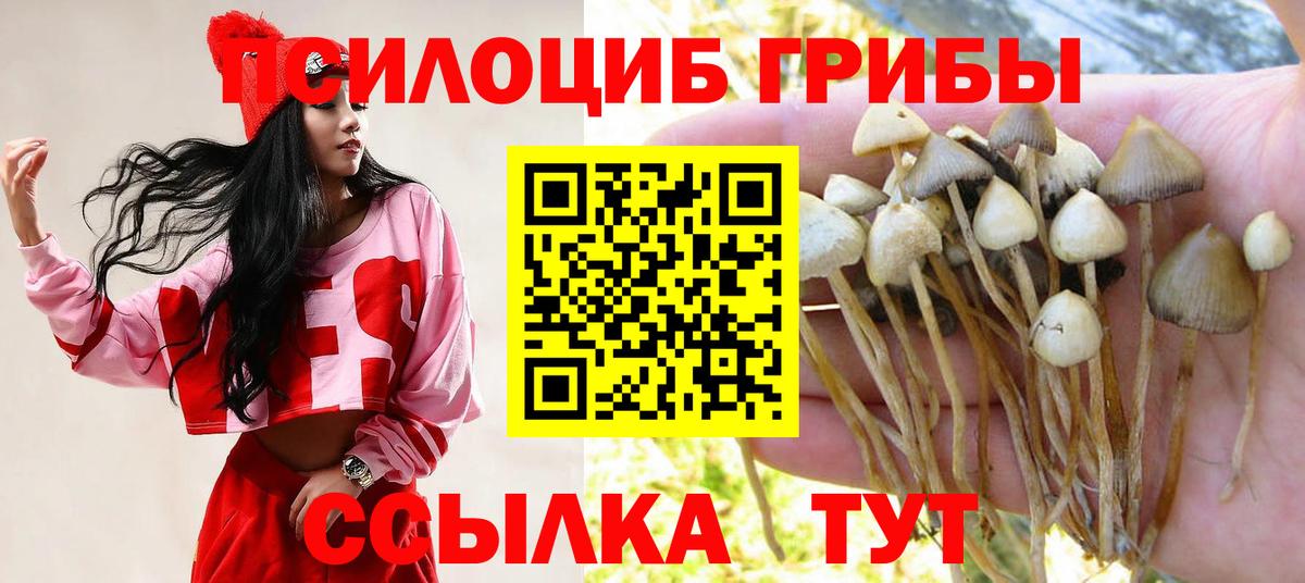 Галлюциногенные грибы Psilocybine cubensis Десногорск